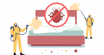 bedbug-control-service