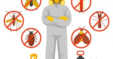 Pest control service vector illustration with exterminator of insects in chemical protective suit termites and disinfection cans flat icons